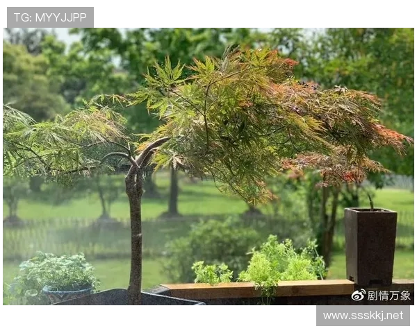 季丽萍别人的周末是逛街喝茶，她却在豪宅里数钱数到手软，活成另一种人生赢家！