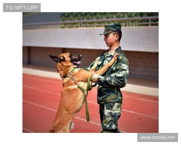 登贝莱居然穿拖鞋去训练？这日常反差我看懵了！